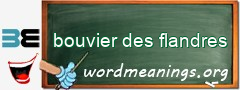 WordMeaning blackboard for bouvier des flandres